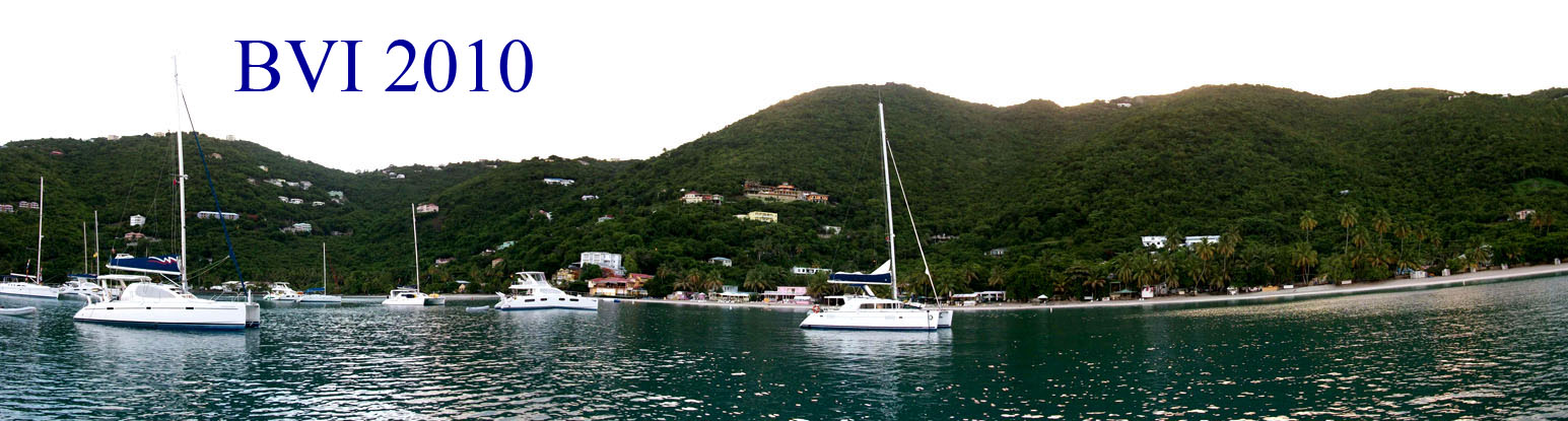 BVI's 2010